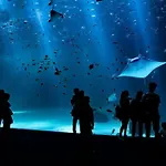 Апартаменты Sejournez En 3 Etoiles-tout Confort-avec Vue Mer- A 100 M De La