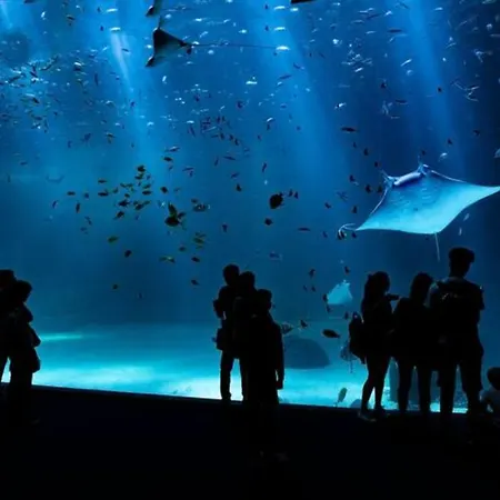 아파트 Duplex -vue Sur Mer- A 100 M De La